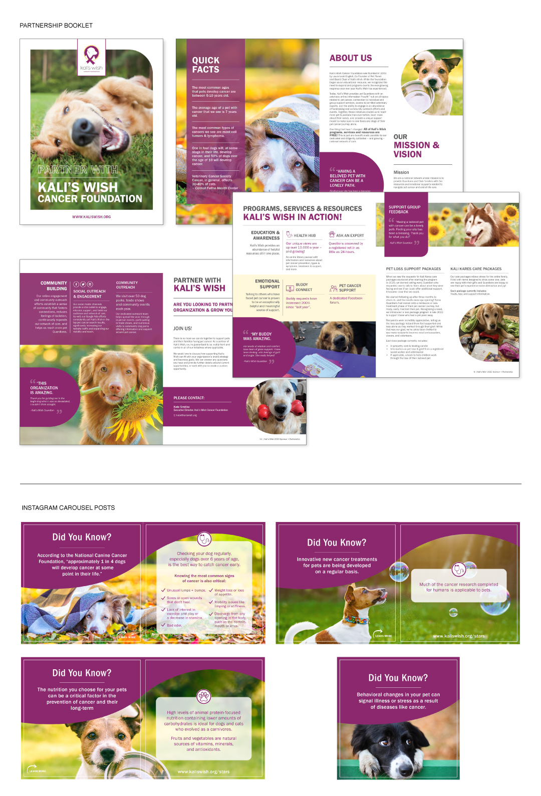 Graphic Design for Health + Wellness | Harmonic Harvest Creative | Kali's Wish